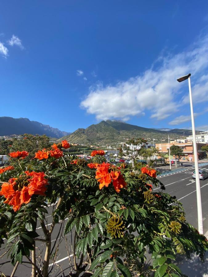 Apartmán Casatranquila Los Llanos De Aridane Exteriér fotografie